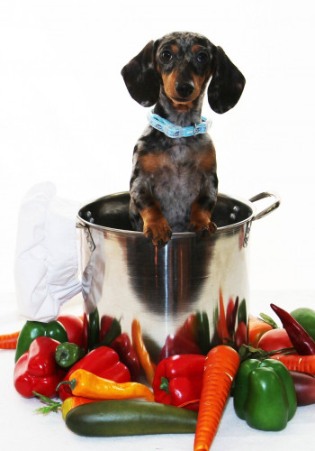 The Wienerfest Home County Festival-event-photo