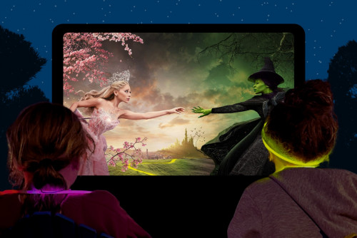 Movies Under the Stars at Wasaga Beach-event-photo