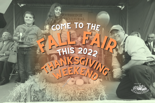 Annual Woodbridge Fall Fair-event-photo