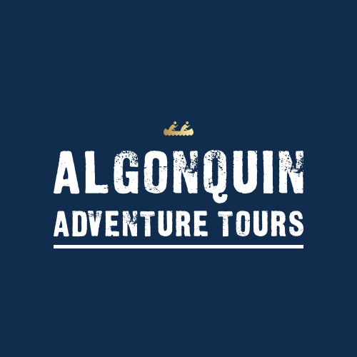 Algonquin Adventure Tours in Dwight - Outdoor Adventures in  Summer Fun Guide