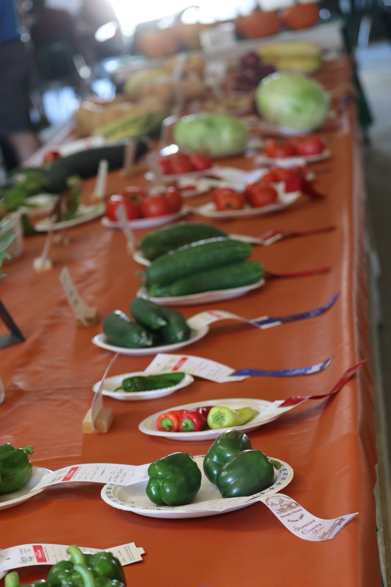 Stormont County Fair - Sept. 4 - 7, 2026