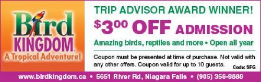 $12 for 1 Ticket to Bird Kingdom (a $17 Value)