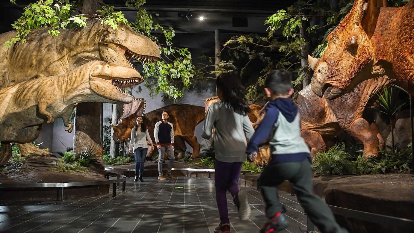 Canadian Museum Of Nature