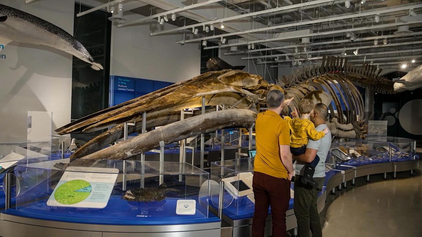 Canadian Museum Of Nature