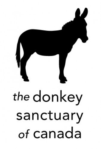 Donkey Sanctuary of Canada in Puslinch - Animals & Zoos in  Summer Fun Guide