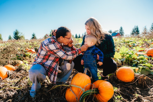 Norfolk County: Eat, Play, Discover, Stay!