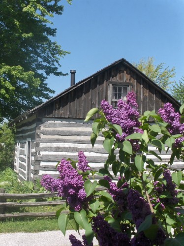 Moore Museum - Heritage Village