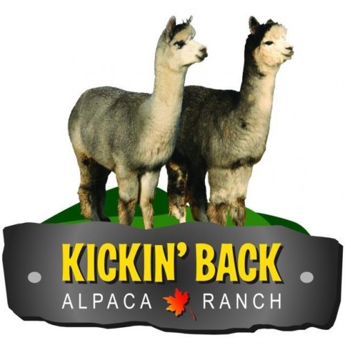 Kickin' Back Alpaca Ranch in Markdale - Animals & Zoos in SOUTHWESTERN ONTARIO Summer Fun Guide