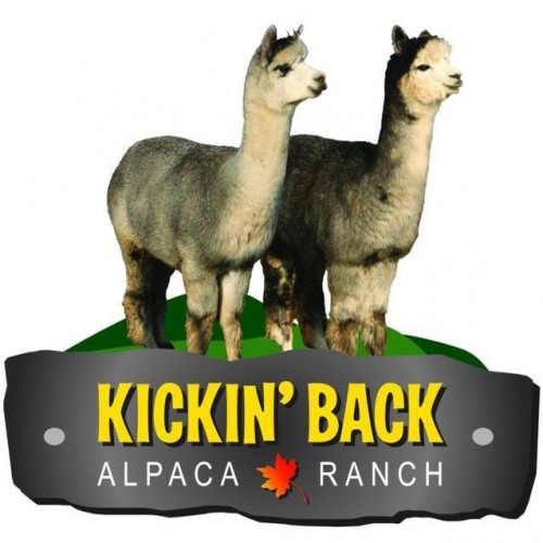 Kickin' Back Alpaca Ranch