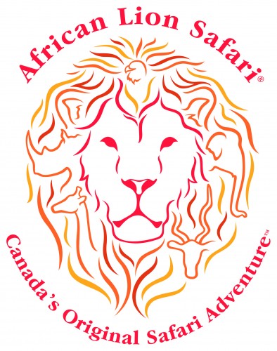 African Lion Safari in Hamilton - Attractions in SOUTHWESTERN ONTARIO Summer Fun Guide