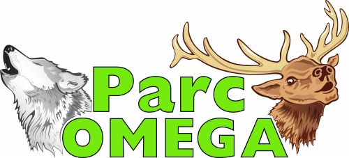 Parc Omega in Montebello - Animals & Zoos in  Summer Fun Guide