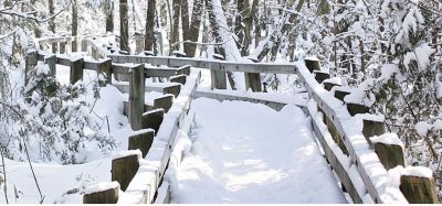 Crawford Lake Village