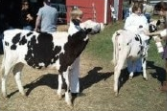 Stormont County Fair - Sept. 4 - 7, 2026