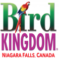 Bird Kingdom in Niagara Falls - Animals & Zoos in  Summer Fun Guide