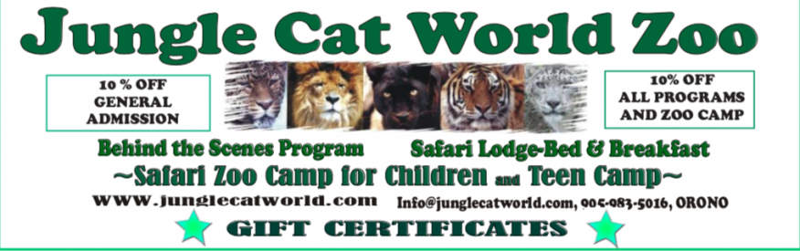 Jungle Cat World Coupon - 10% off admission