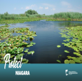 Niagara Peninsula Conservation Authority in Welland - Parks & Trails, Beaches & Gardens in NIAGARA REGION Summer Fun Guide