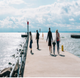 Experience Oakville! in Oakville - Parks & Trails, Beaches & Gardens in  Summer Fun Guide