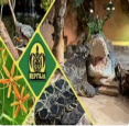 Reptilia, Inc -  3 locations: in Whitby, London & Vaughan - Animals & Zoos in GREATER TORONTO AREA Summer Fun Guide