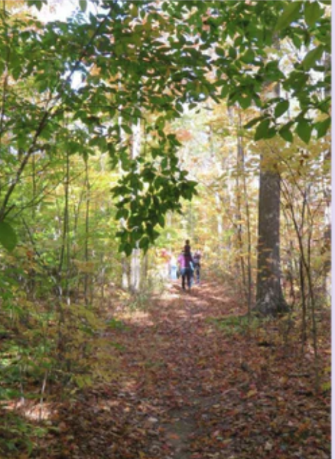 Purple Haven Lavender Farm