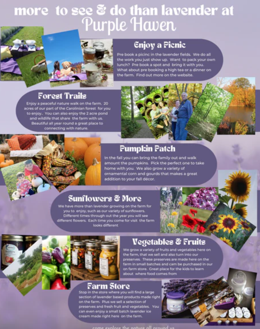 Purple Haven Lavender Farm