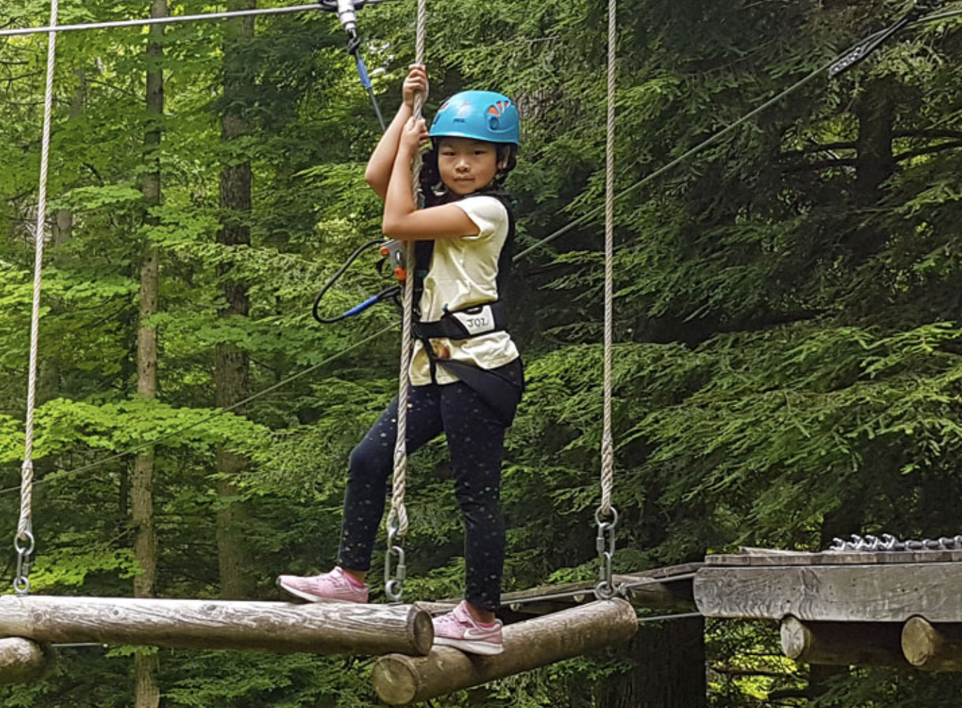 Treetop Eco-Adventure Park & iBOUNCE