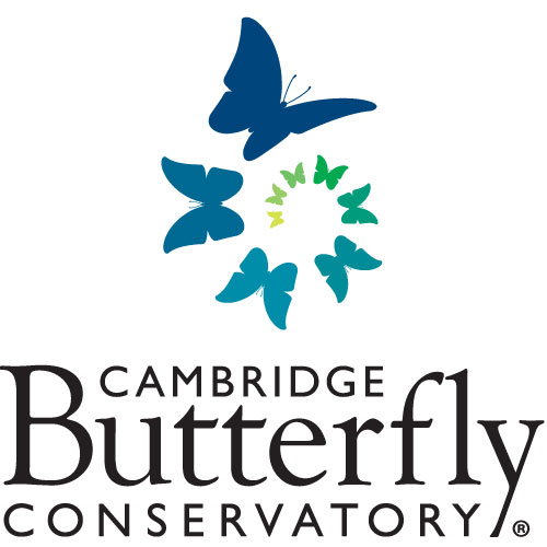 Cambridge Butterfly Conservatory in Cambridge - Attractions in SOUTHWESTERN ONTARIO Summer Fun Guide