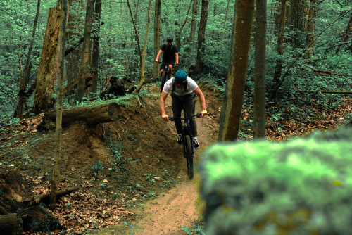 Norfolk County: Eat, Play, Discover, Stay!