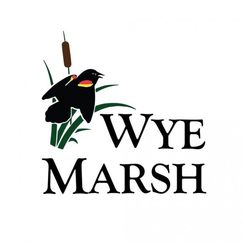 Wye Marsh Wildlife Centre in Midland - Outdoor Adventures in  Summer Fun Guide