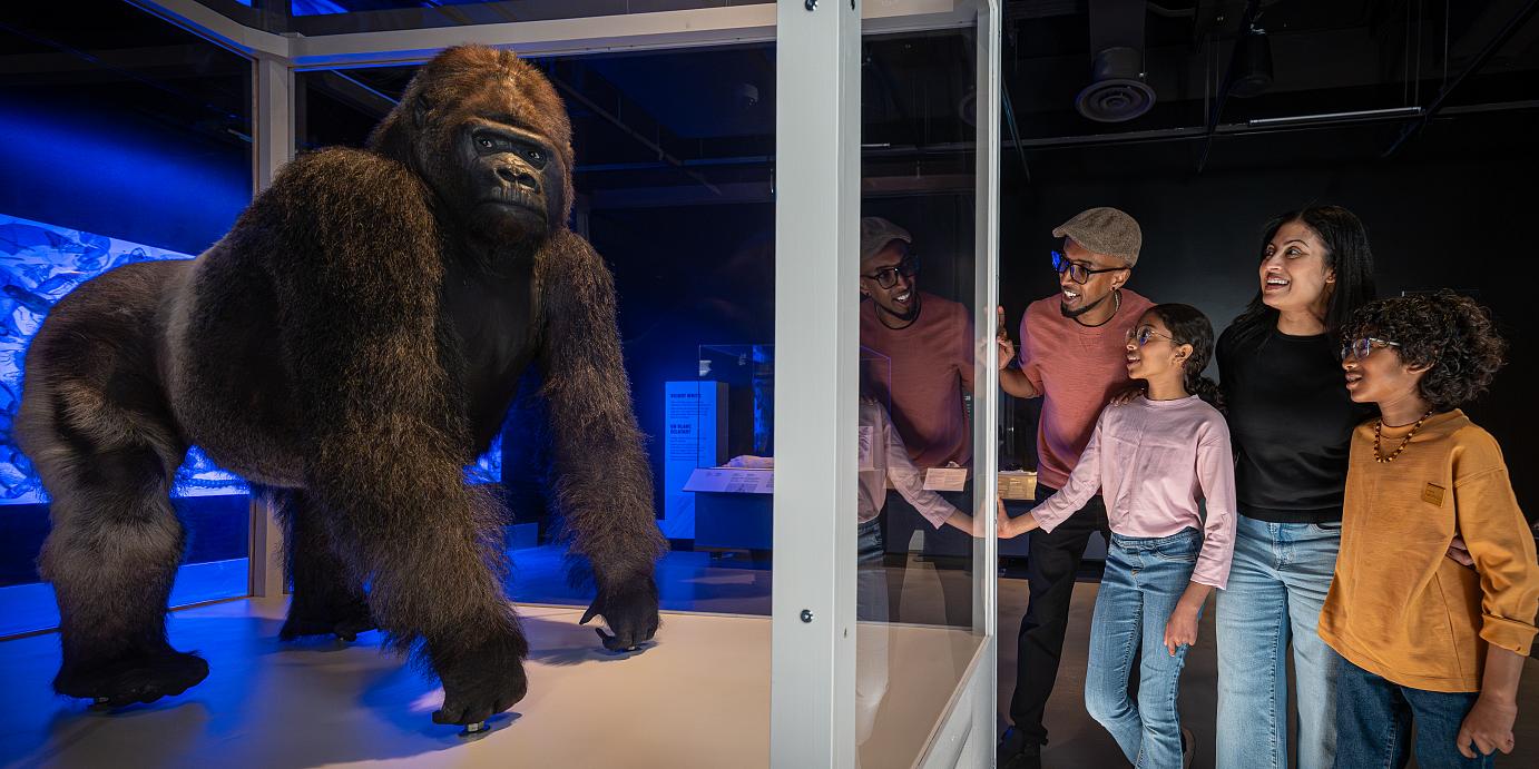 Canadian Museum Of Nature
