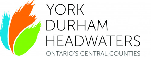 York, Durham Headwaters Tourism Destination in Courtice - Discover ONTARIO - Places to Explore in GREATER TORONTO AREA Summer Fun Guide