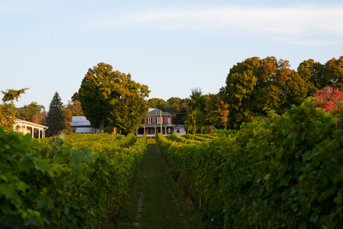 Waupoos Estates Winery & Restaurant