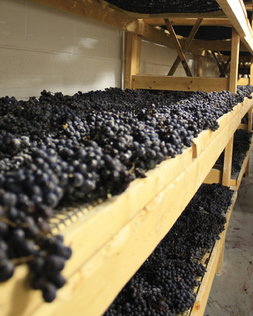 Magnotta Winery - Canada's most award winning winery!