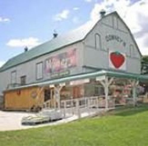 Downey’s Farm & Estate Winery