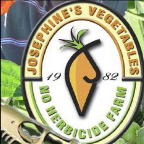 Josephine's Vegetables -(No Herbicide Farm since 1982) in Sudbury - Fun Farms, U-Pick & Markets in  Summer Fun Guide
