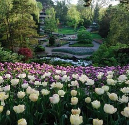 Royal Botanical Gardens in Burlington - Attractions in  Summer Fun Guide